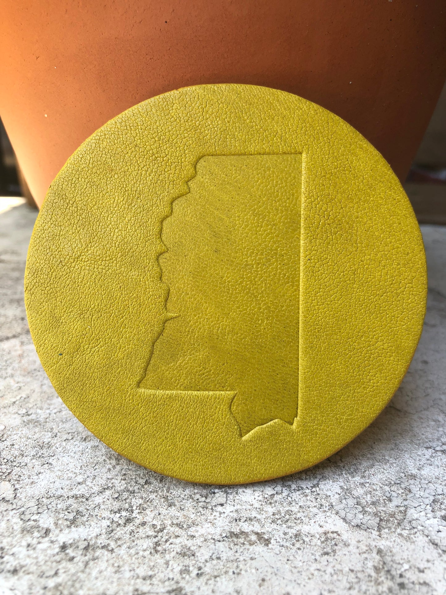 Leather Coaster - Mississippi